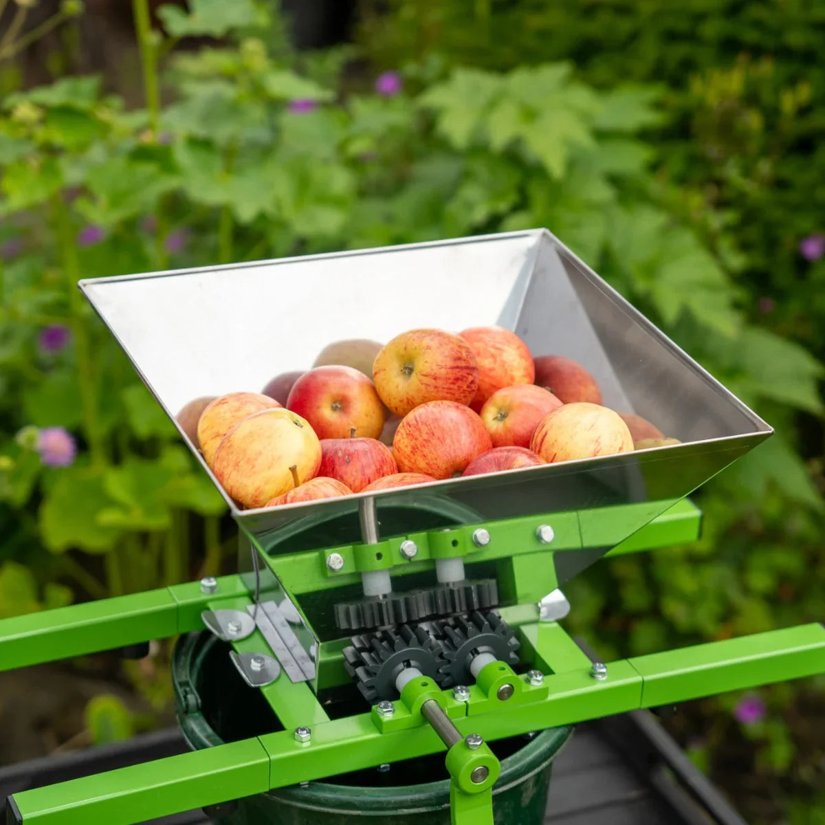 Stainless steel fruit crusher with a green frame, filled with red apples, ready for pressing in a garden setting