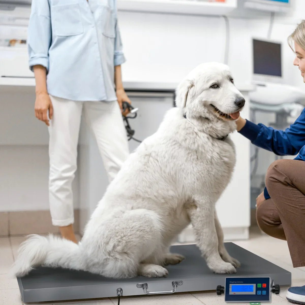 Large white dog sitting on a sturdy vet scale in a bright clinic, with a woman gently petting it, showcasing the scale's digital display