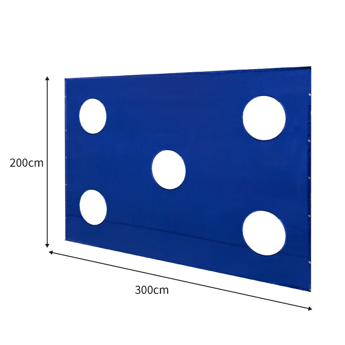 Blue golf cage target sheet measuring 300cm by 200cm, featuring five circular holes for target practice and durable fabric construction