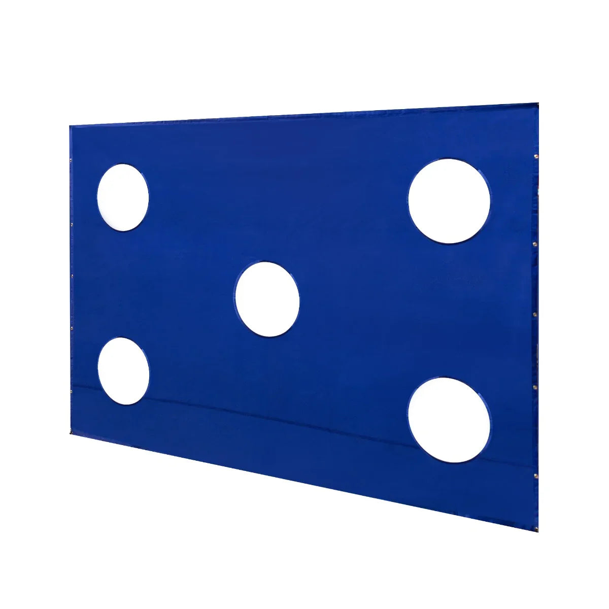 Blue 8 x 6ft football goal target sheet featuring five circular target holes for precision training and skill development