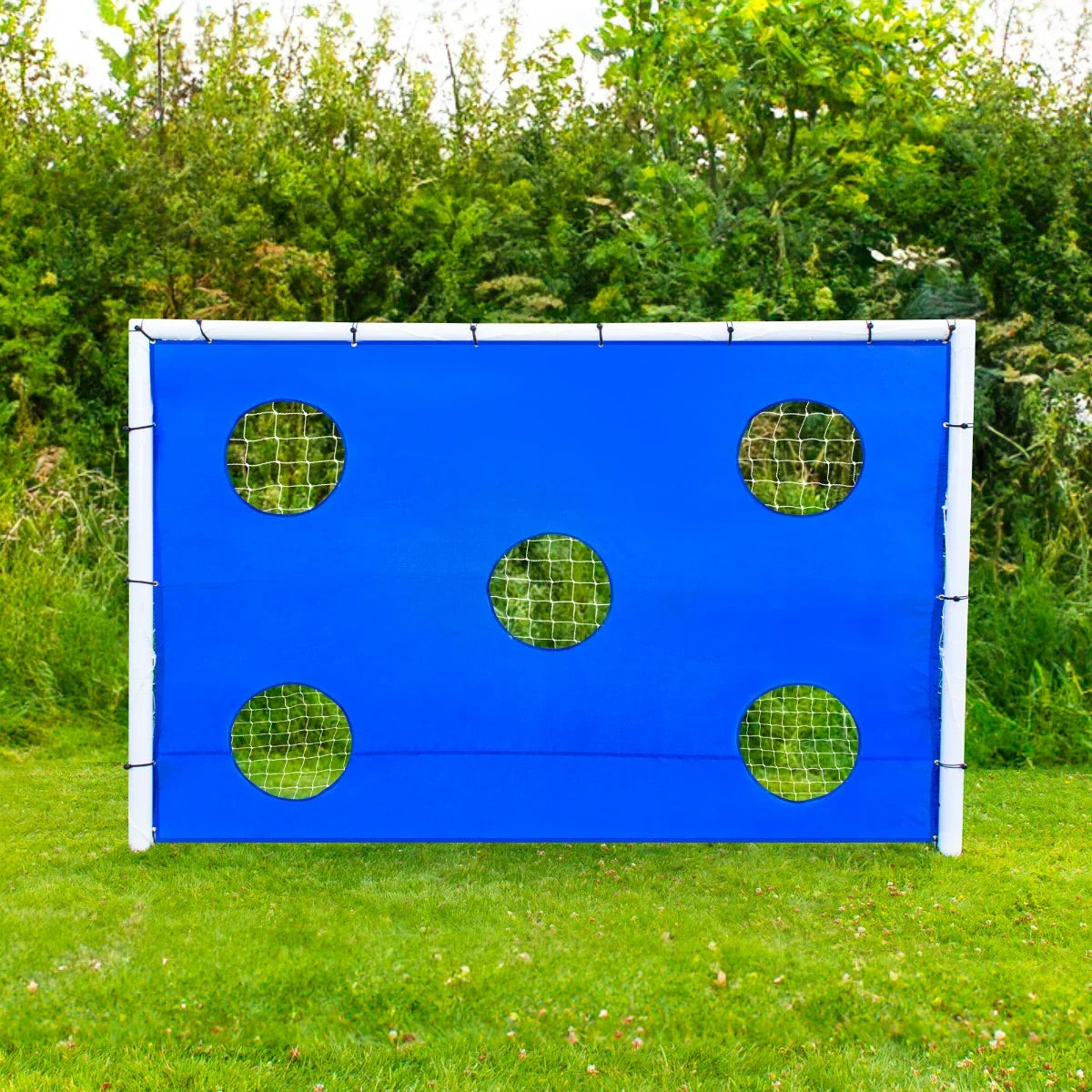 6 x 4ft football goal with a vibrant blue target sheet featuring five circular holes, set against a grassy background