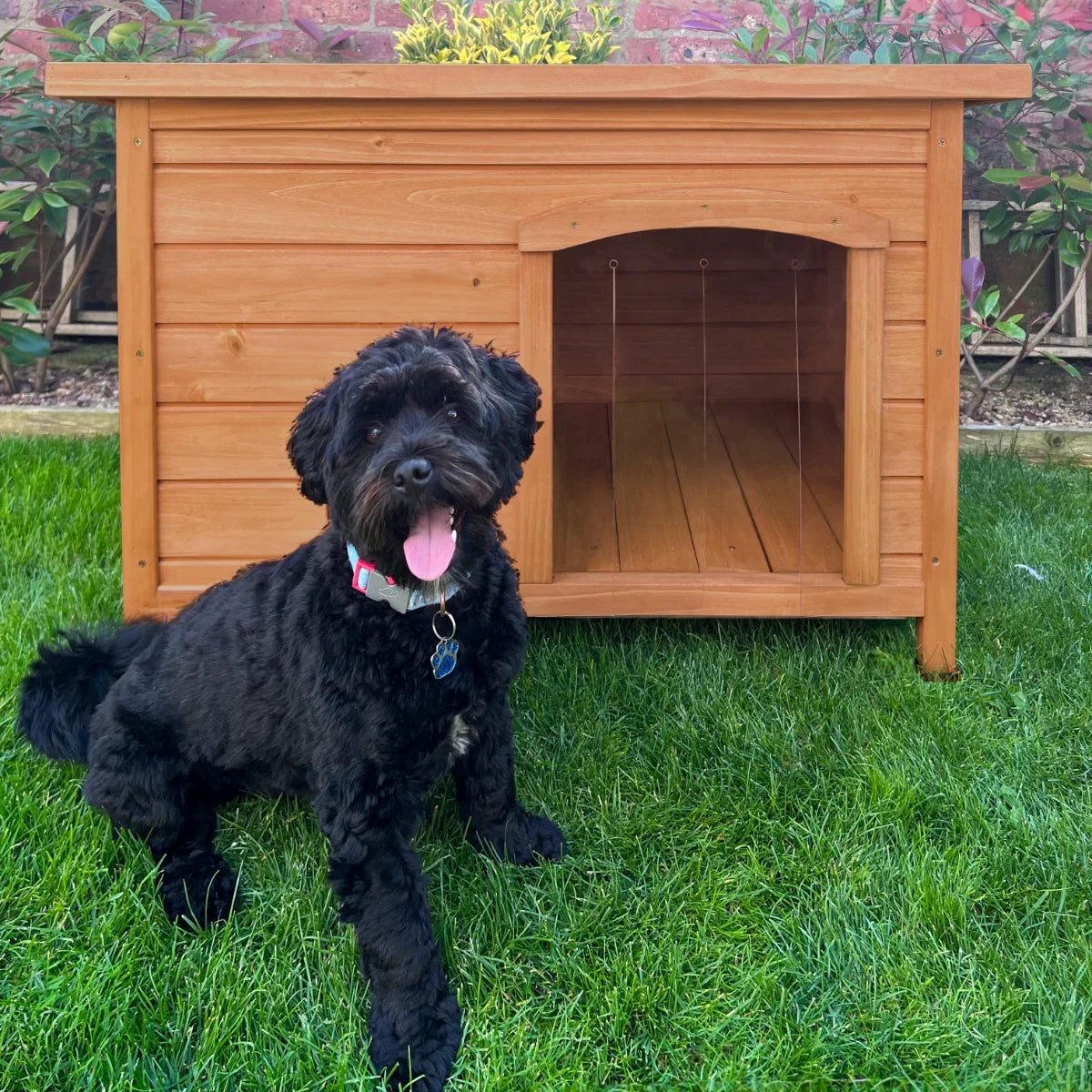 Small wooden dog kennel with a slanted roof, featuring a cozy interior and a black dog sitting on green grass nearby