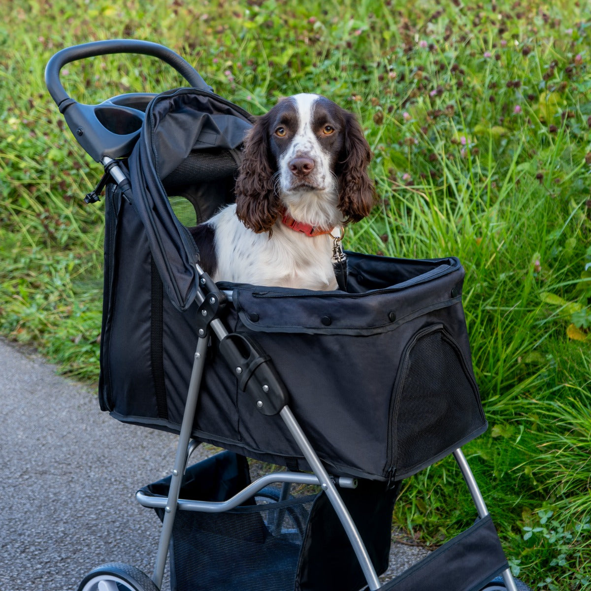 Pet Stroller with Rain Cover – Black