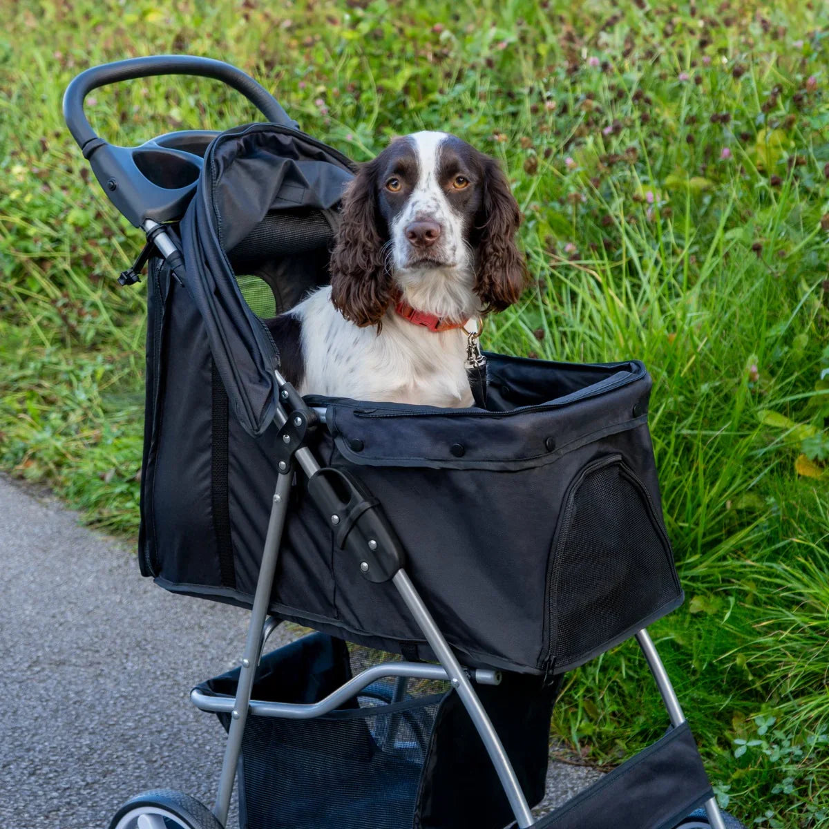 Black pet stroller with rain cover, featuring a spacious mesh-lined compartment and sturdy wheels, ideal for outdoor walks with pets