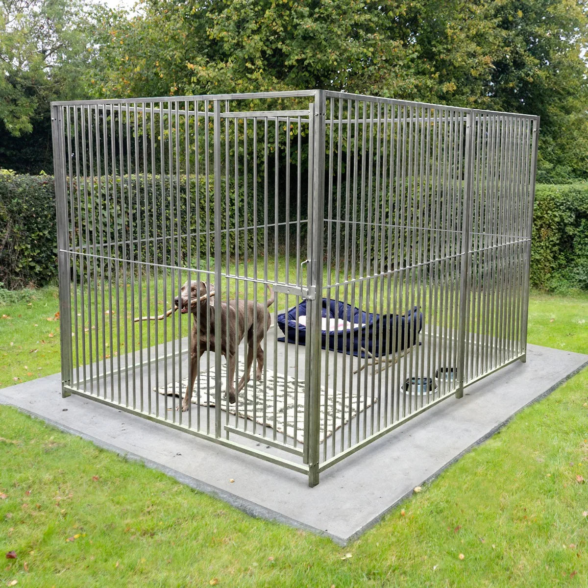 Durable 2m dog run panel with door, featuring 5cm bar spacing, sturdy metal construction, and a spacious outdoor design for pets