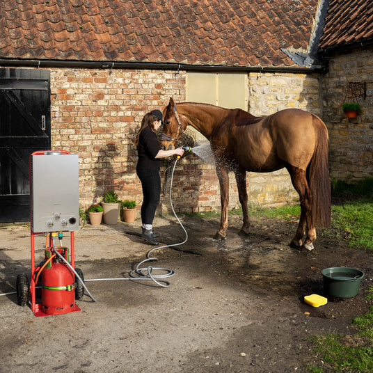 A woman bathes a brown horse with a hose outside a rustic stone barn, surrounded by potted plants and a red washing unit