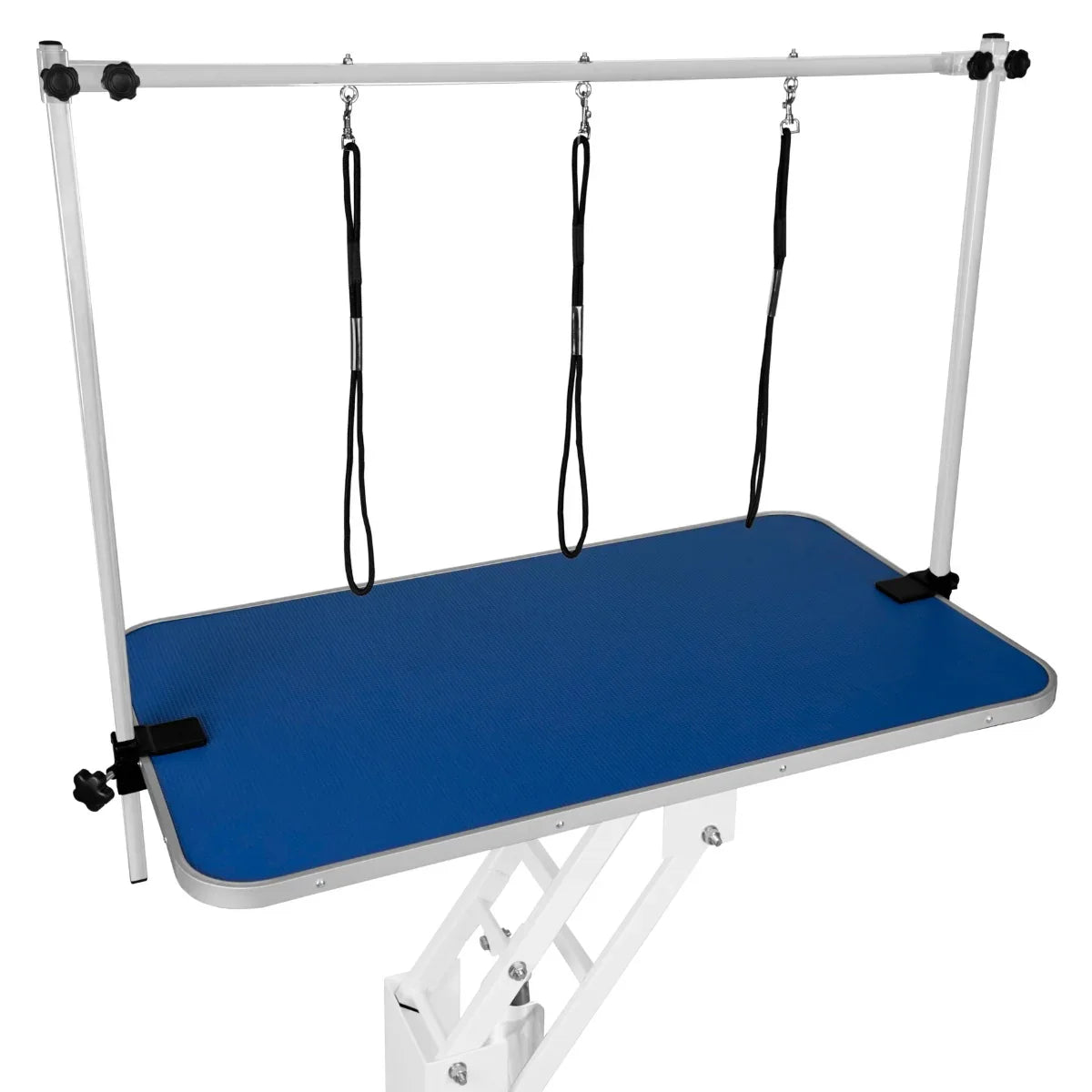 White hydraulic grooming table with a blue textured top, adjustable height, and three grooming loops for secure pet handling