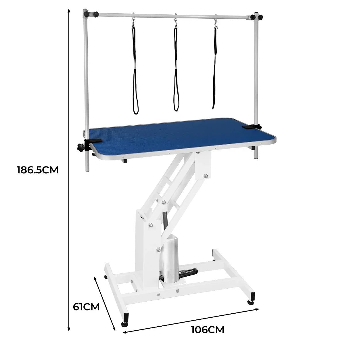 White hydraulic grooming table with a blue top, adjustable height, and overhead arm with three grooming loops for pet care