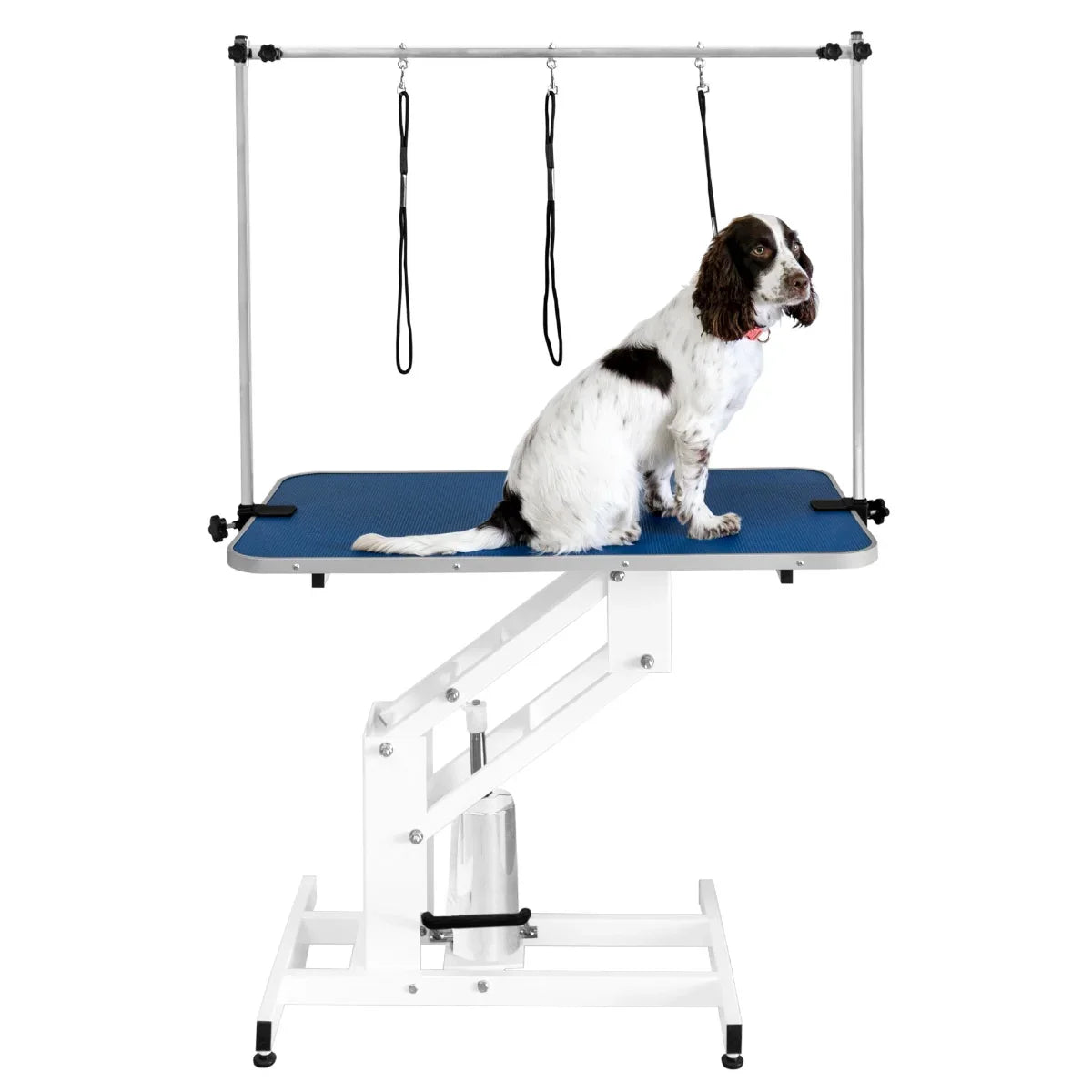 White hydraulic grooming table with a blue textured top, featuring a dog seated and adjustable height for easy pet grooming