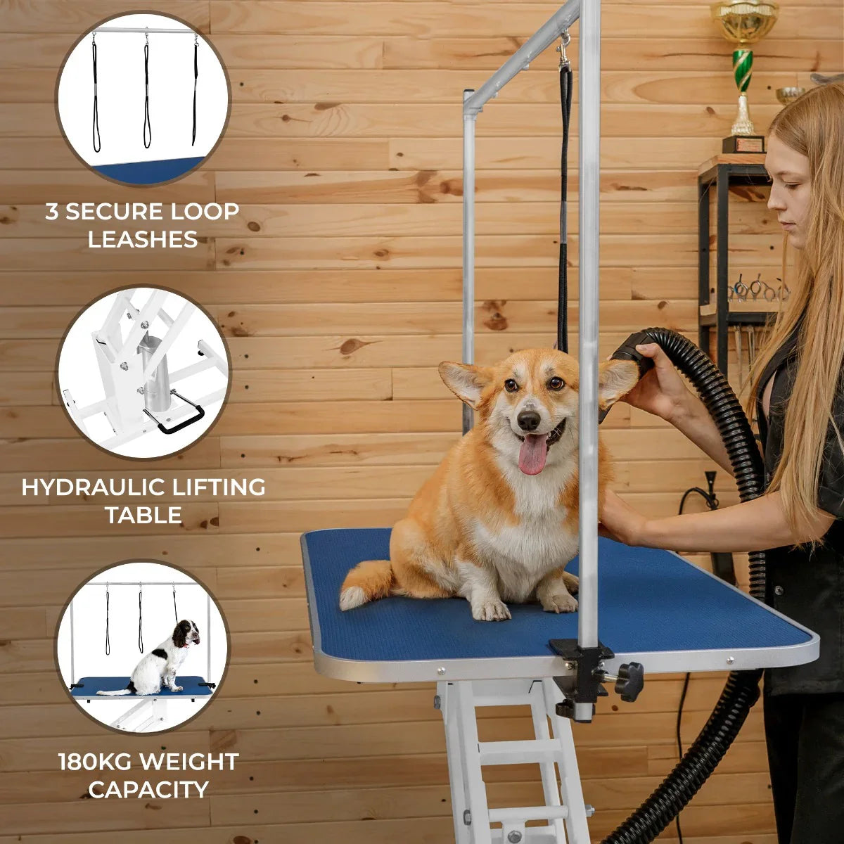 White hydraulic grooming table with a blue top, featuring a corgi, secure loop leashes, and a sturdy design for pets up to 180kg