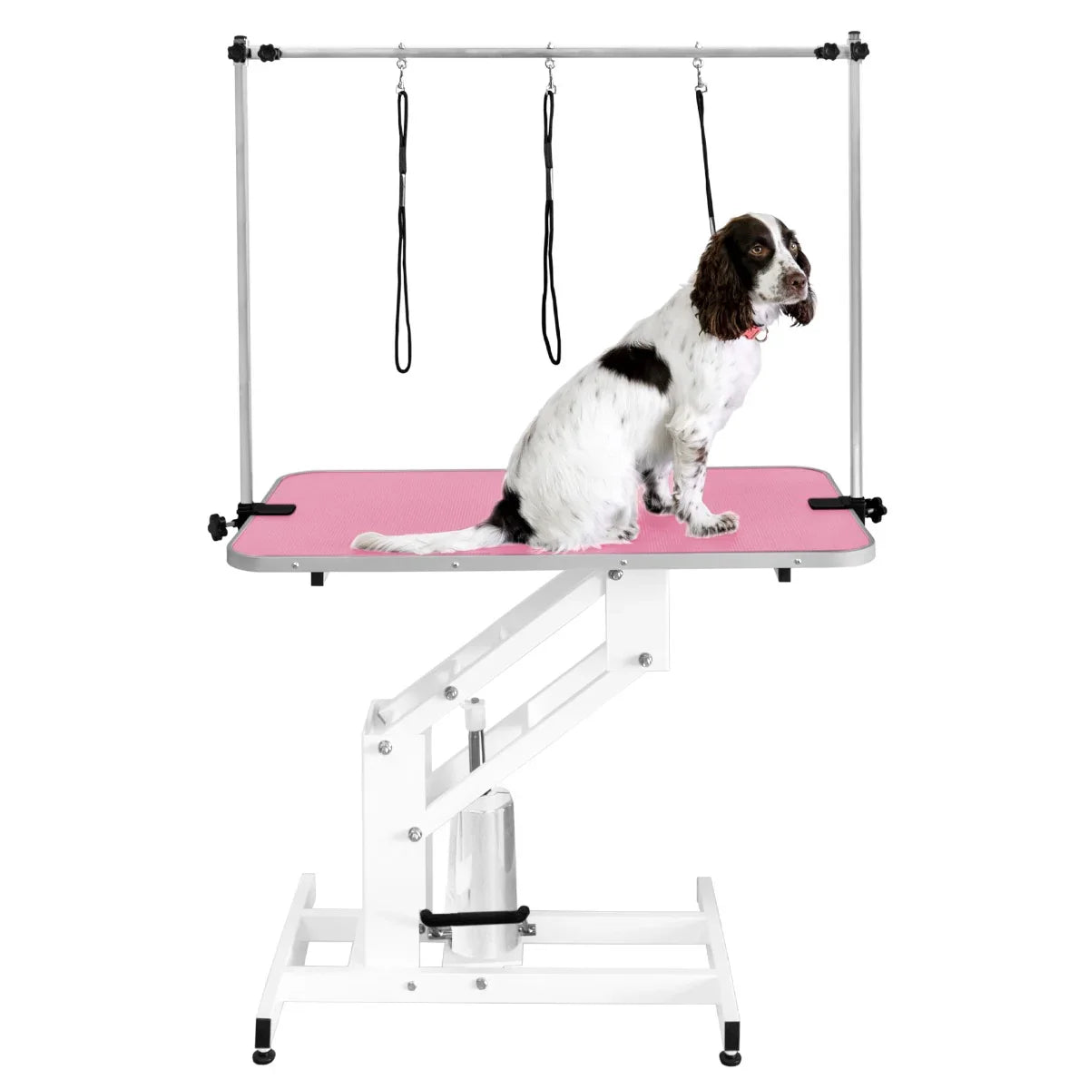 White hydraulic grooming table with a pink top, featuring a dog sitting on it and adjustable arm with leashes for grooming