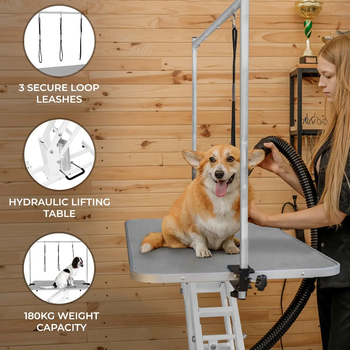 White hydraulic grooming table with a grey top, featuring three secure loop leashes and a dog comfortably sitting on it