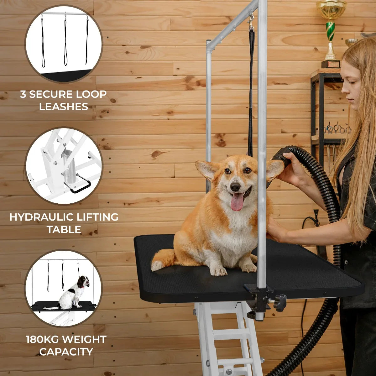 White hydraulic grooming table with a black top, featuring three secure loop leashes and a dog comfortably seated on it
