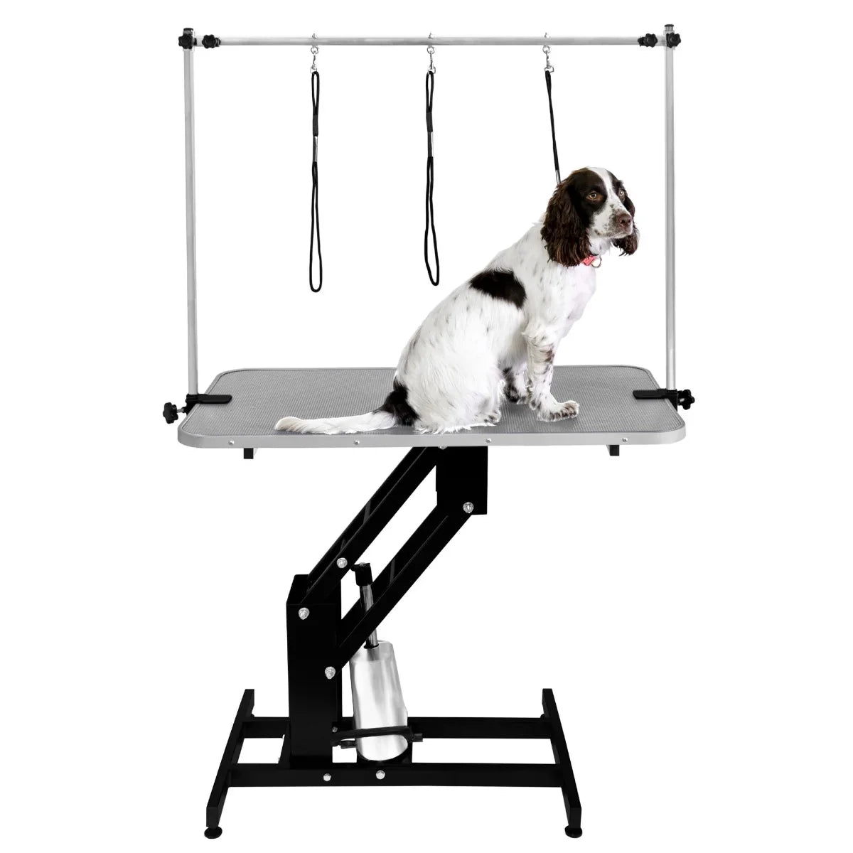 Black hydraulic grooming table with a grey textured top, featuring adjustable height and a dog secured with grooming loops