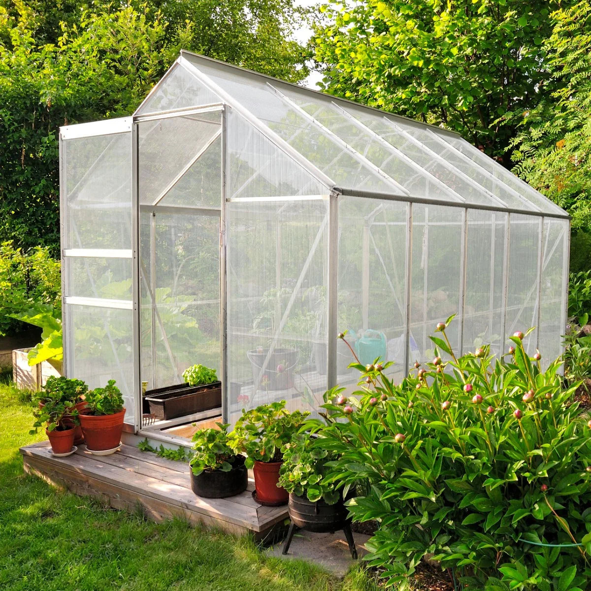 Silver polycarbonate greenhouse measuring 6ft x 6ft, featuring a sturdy frame, clear panels, and surrounded by vibrant plants and flowers