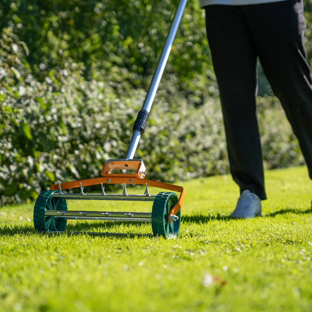 50cm lawn leveller and aerator with an orange frame, metal spikes, and sturdy wheels, designed for easy lawn maintenance