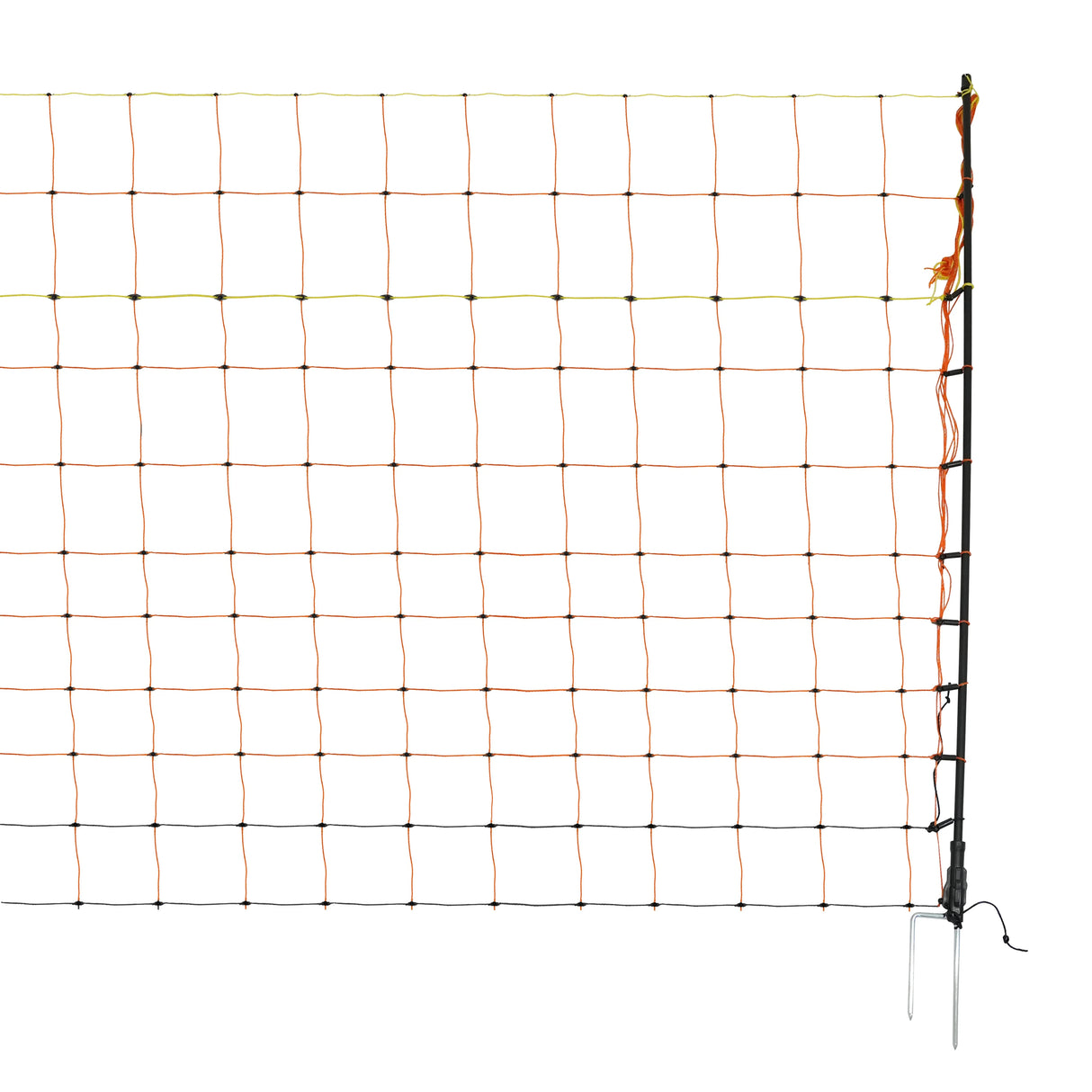 Electric poultry netting, 50m long, features orange and black mesh with sturdy posts, ideal for keeping chickens secure in outdoor spaces