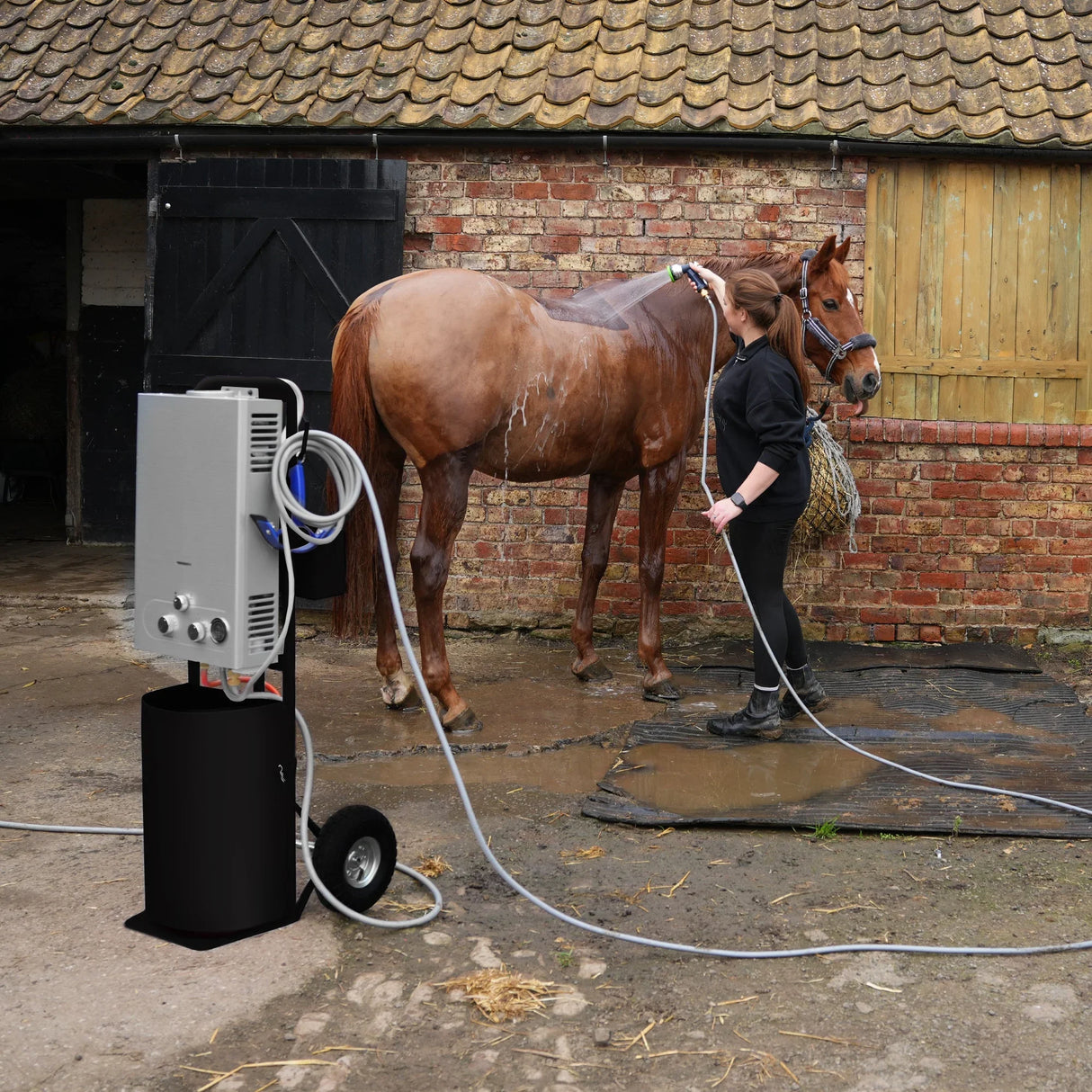 Deluxe Portable Horse Shower in black, featuring a sleek design, hose, and wheels, used to wash a brown horse outdoors
