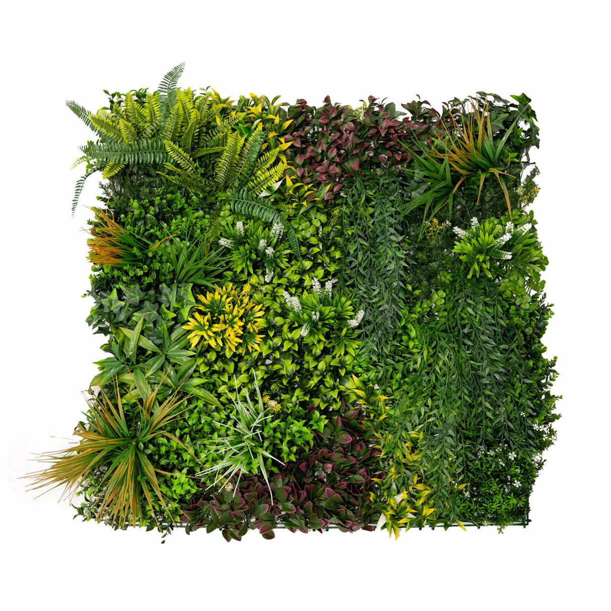 Cassia Artificial Wall Tile featuring lush green foliage, vibrant yellow flowers, and varied textures in a 100cm x 100cm square design