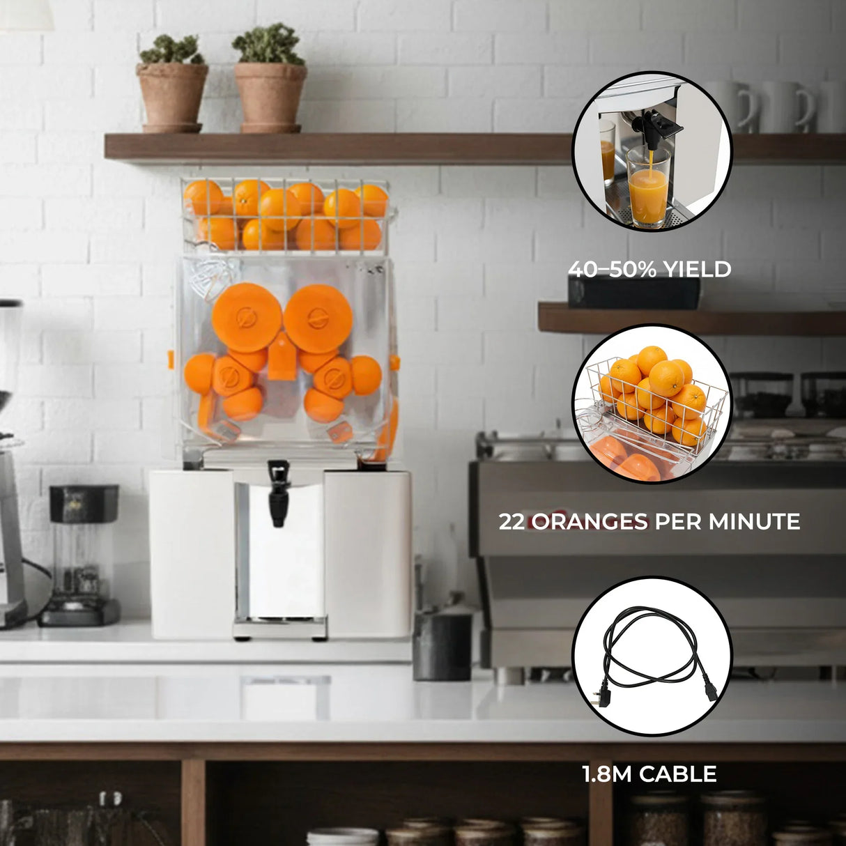Commercial fruit juicer with clear container, bright oranges, stainless steel base, and 1.8m cable, designed for high yield and efficiency