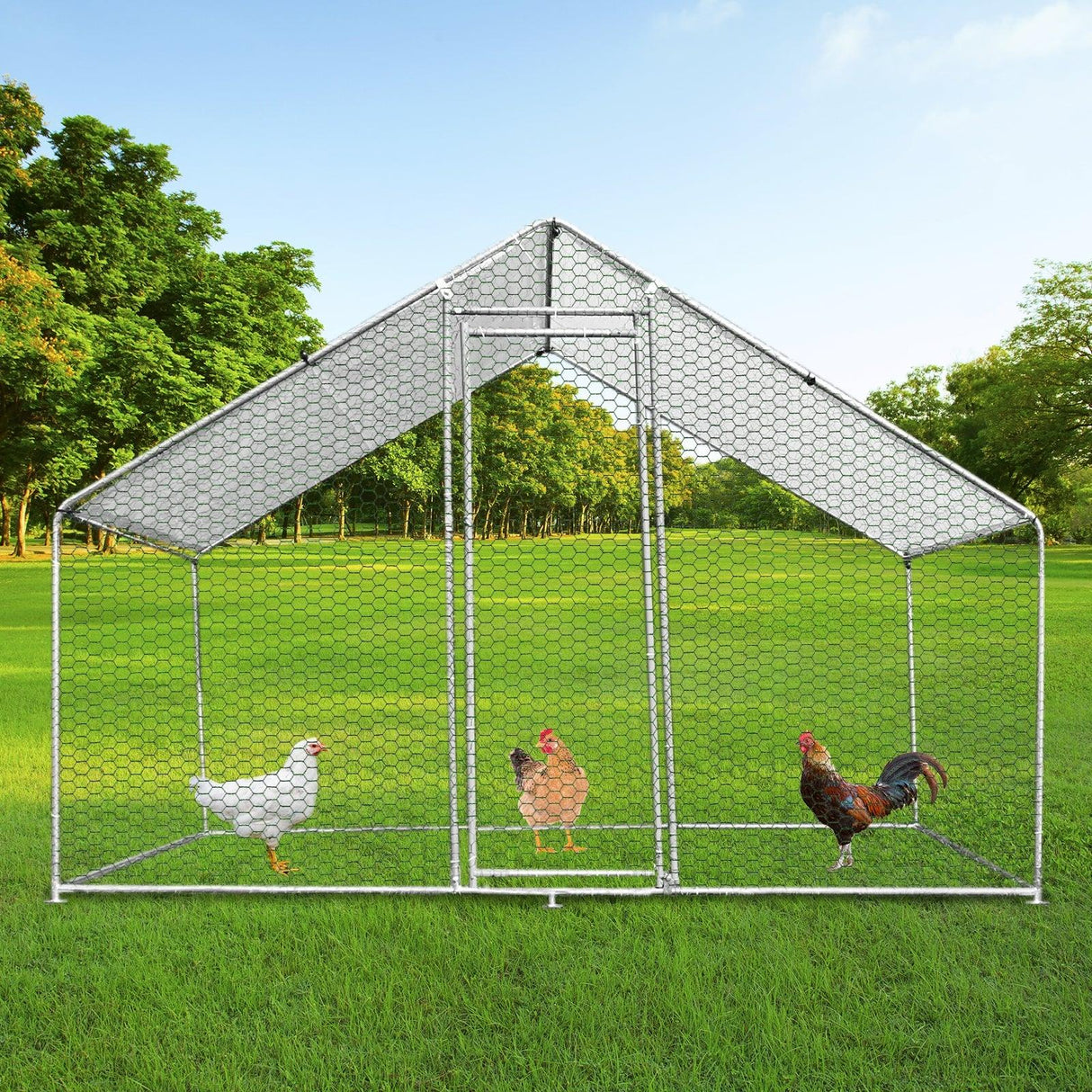 Spacious 3m x 2m x 2m chicken run with a sturdy metal frame, hexagonal wire mesh, and three chickens on lush green grass