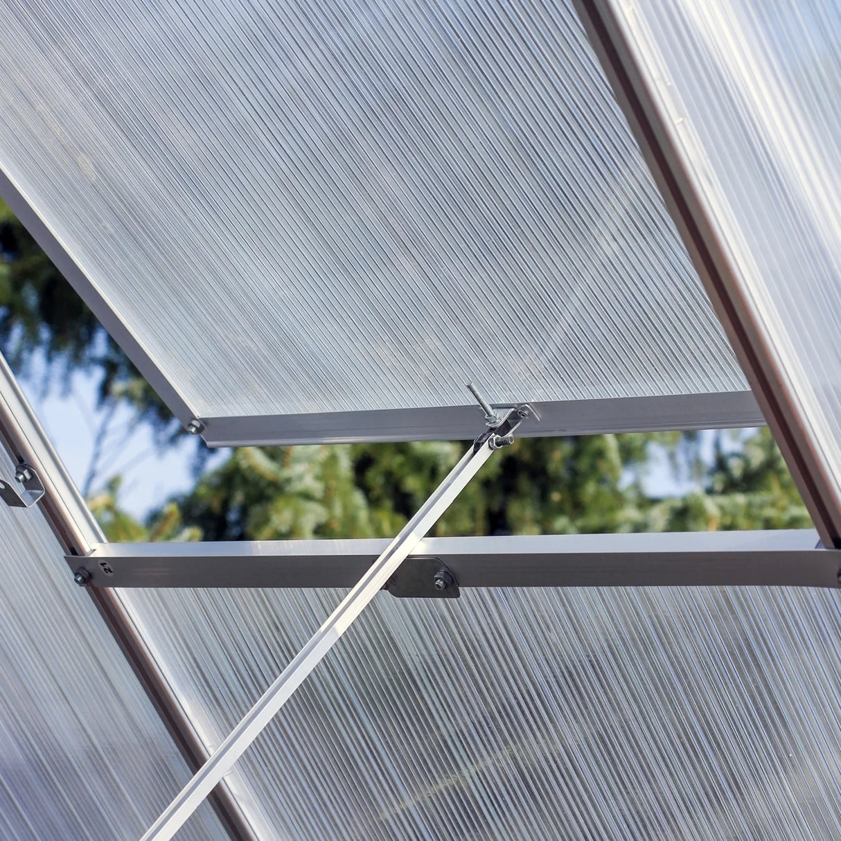 Close-up of the transparent polycarbonate panels and aluminum frame of a 6ft x 4ft greenhouse, showcasing sunlight filtering through