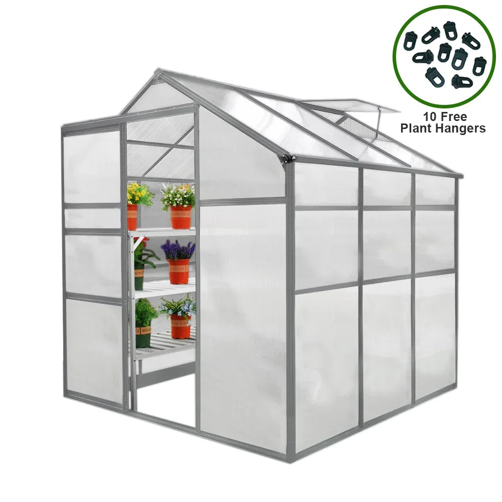 6ft x 6ft greenhouse with a sturdy gray frame, clear panels, and shelves filled with potted plants, includes 10 free plant hangers