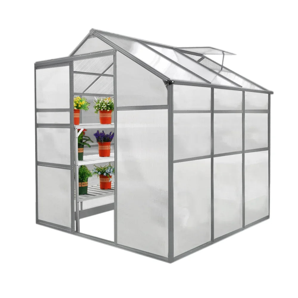 6ft x 6ft greenhouse with a silver frame, transparent panels, and shelves displaying vibrant potted plants inside