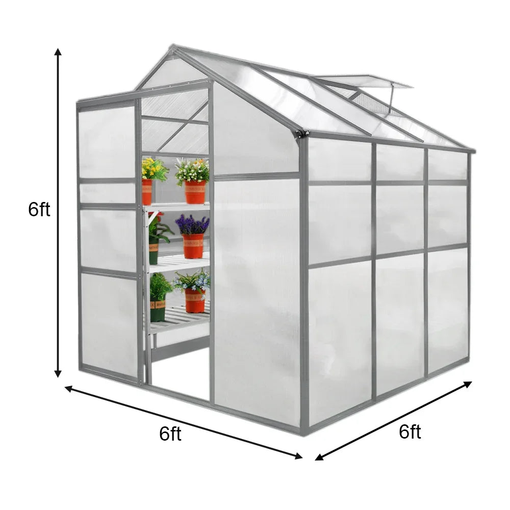 6ft x 6ft greenhouse featuring a sturdy gray frame, transparent panels, and shelves filled with colorful potted plants inside