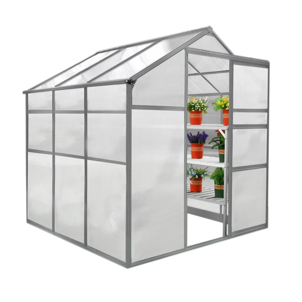 6ft x 6ft greenhouse with a transparent cover, metal frame, and shelves displaying vibrant potted plants inside