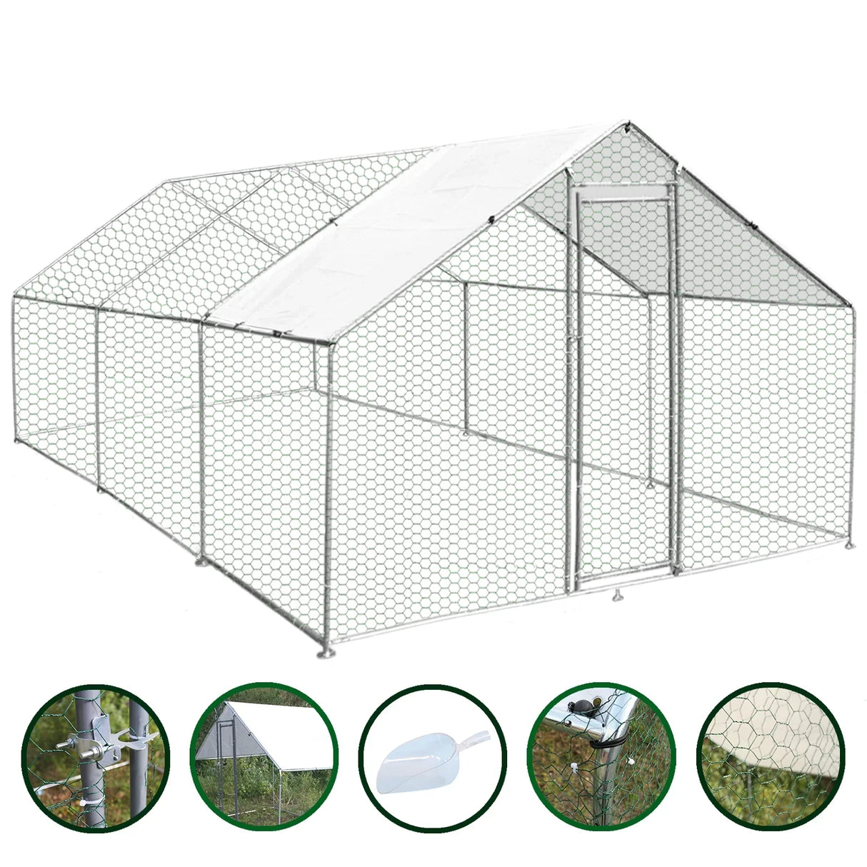 Spacious 4m x 6m x 2m chicken run with sturdy hexagonal wire mesh, a sloped roof, and secure access door for outdoor use