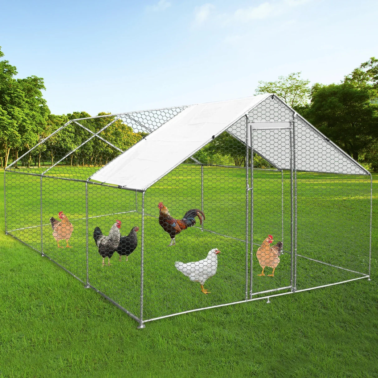 Spacious 4m x 6m x 2m chicken run with a sturdy metal frame, hexagonal wire mesh, and a sloped roof, set on green grass with chickens inside
