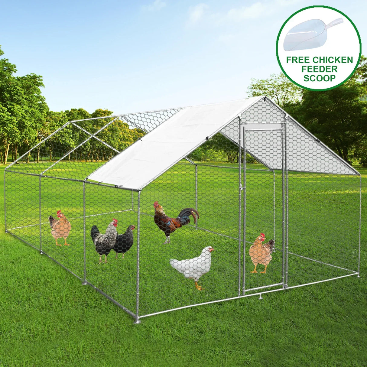 Spacious 4m x 6m x 2m chicken run with a metal frame, wire mesh, and a white roof, featuring various chickens inside on green grass
