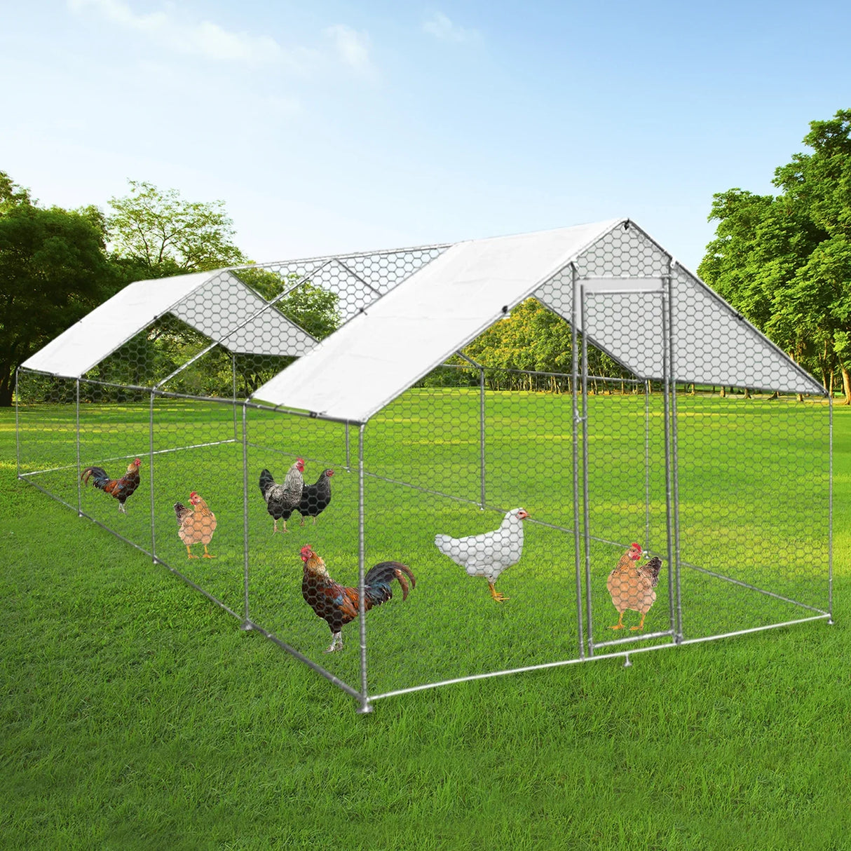 Spacious 4m x 8m x 2m chicken run with a sturdy metal frame, hexagonal wire mesh, and a weather-resistant roof, ideal for outdoor use