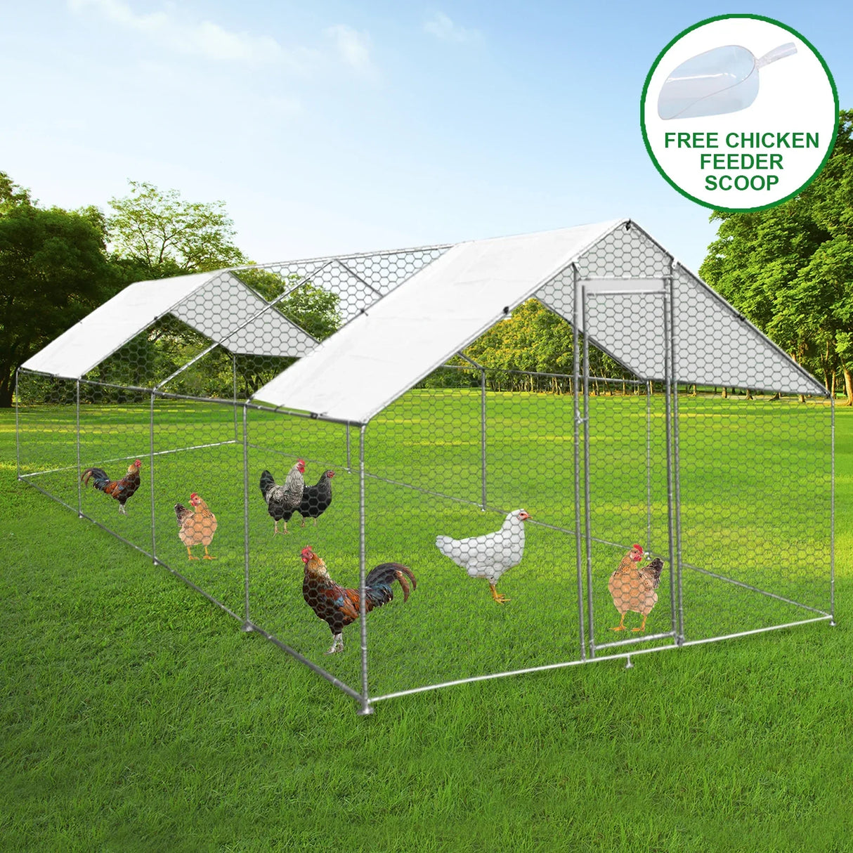 Spacious 4m x 8m x 2m chicken run with a sturdy metal frame, hexagonal wire mesh, and a white waterproof roof, featuring chickens inside