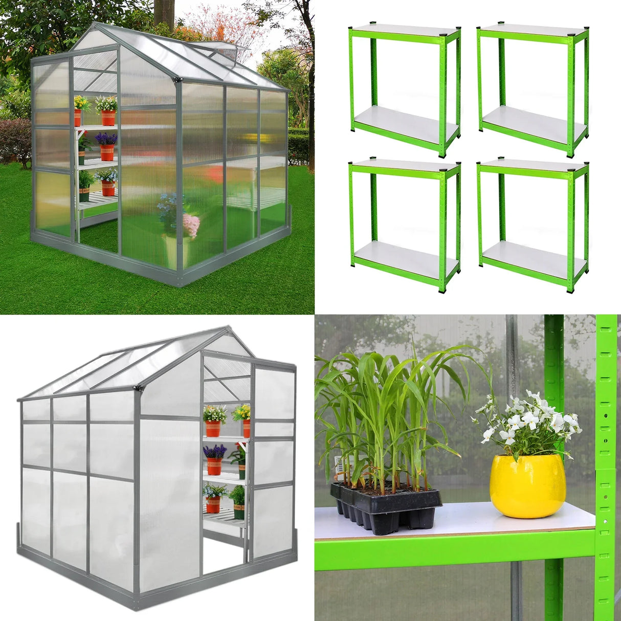 6ft x 6ft greenhouse with a sturdy base, featuring two water-resistant racks, clear panels, and vibrant green accents