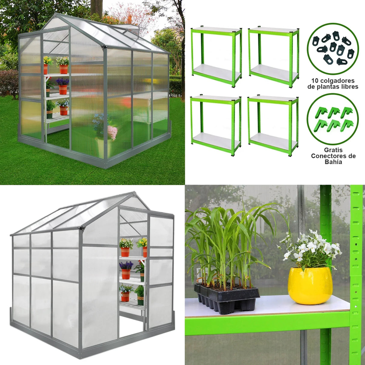 Greenhouse 6ft x 6ft with a sturdy base, featuring two water-resistant racks, clear panels, and vibrant green accents