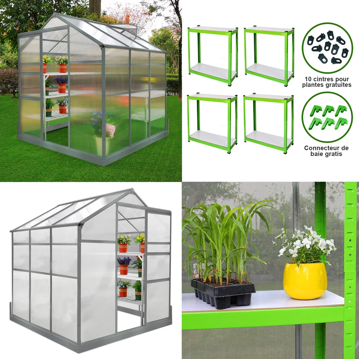6ft x 6ft greenhouse with a sturdy base, featuring two water-resistant racks, clear panels, and vibrant green accents for plant growth