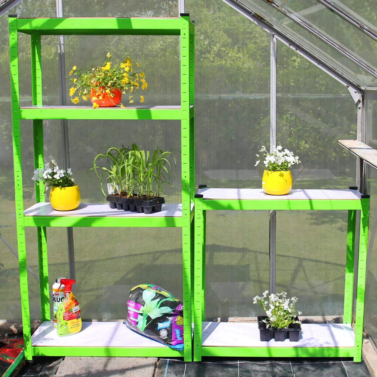 Bright green water-resistant racks in a 6ft x 4ft greenhouse, showcasing potted flowers and gardening supplies on sturdy shelves