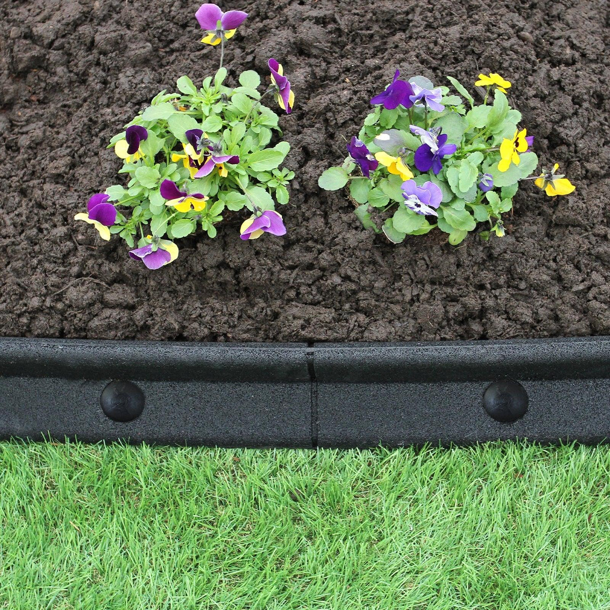 Flexible black lawn edging, 1.2m long, neatly borders vibrant pansies and rich soil, enhancing garden aesthetics and structure