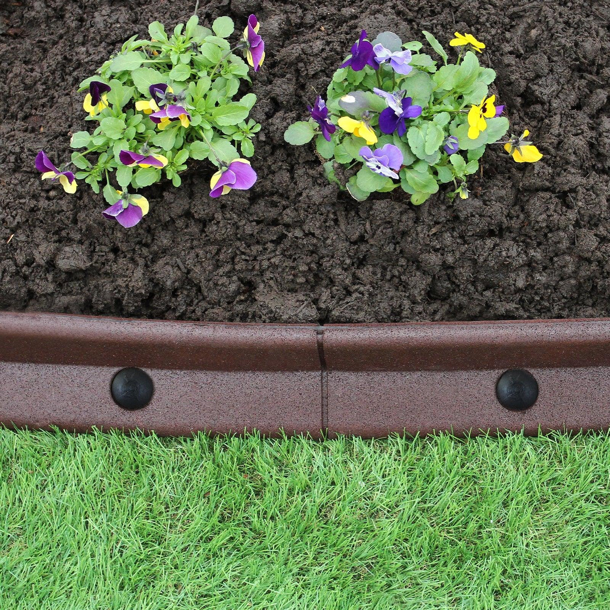 Flexible brown lawn edging, 1.2m long, with vibrant purple and yellow flowers in rich soil, enhancing garden borders and landscaping