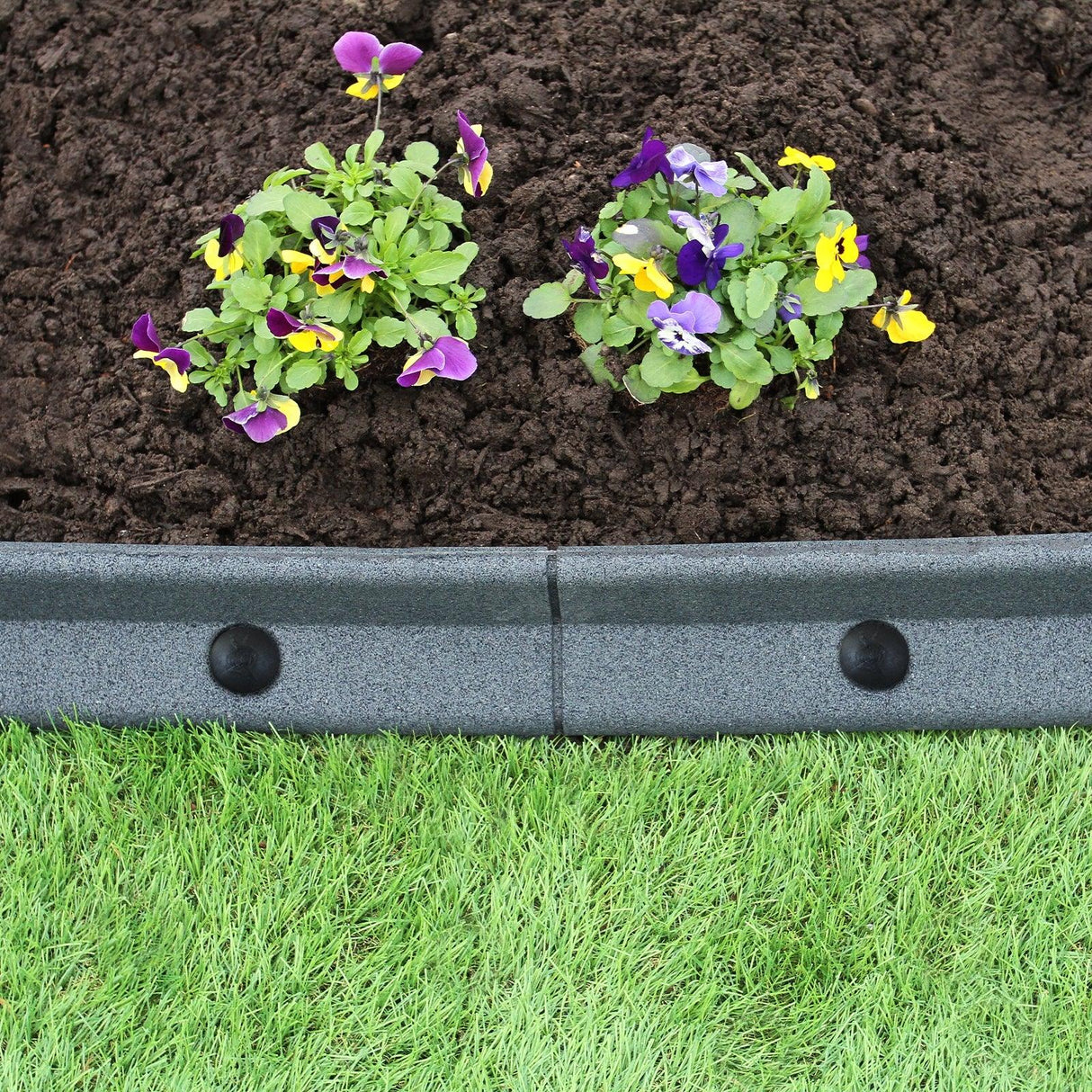 Flexible grey lawn edging, 1.2m long, with vibrant purple and yellow flowers planted in rich soil, set against green grass