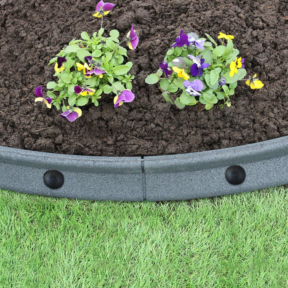 Flexible grey lawn edging with smooth texture, outlining a flower bed with vibrant purple and yellow pansies against rich soil