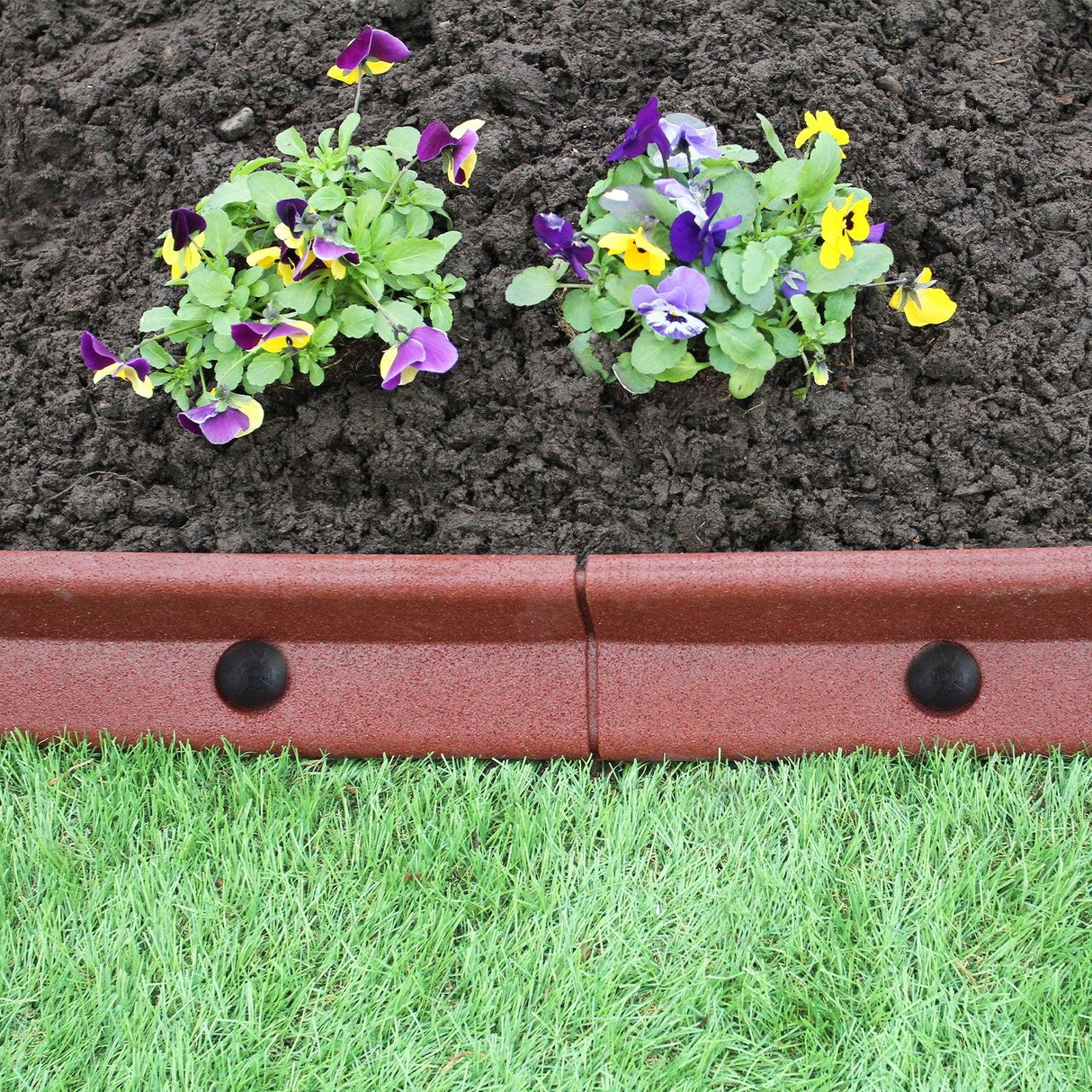 Flexible terracotta lawn edging, 1.2m long, featuring a smooth texture, curved shape, and contrasting vibrant flowers in soil above green grass
