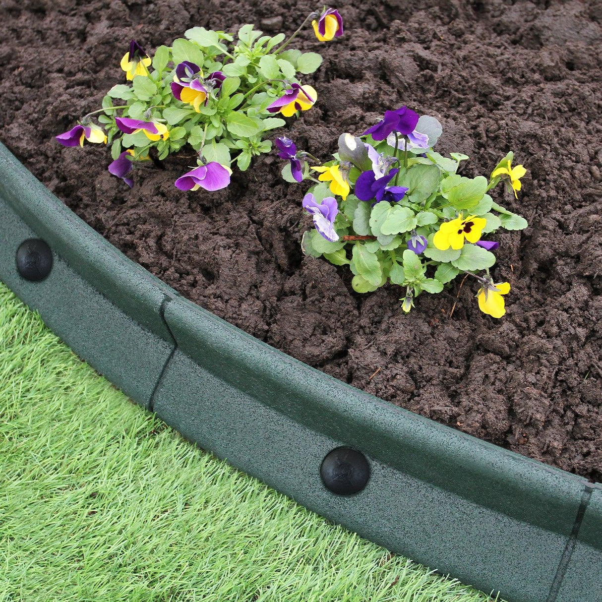 Flexible green lawn edging with smooth texture, surrounding vibrant purple and yellow pansies in rich, dark soil