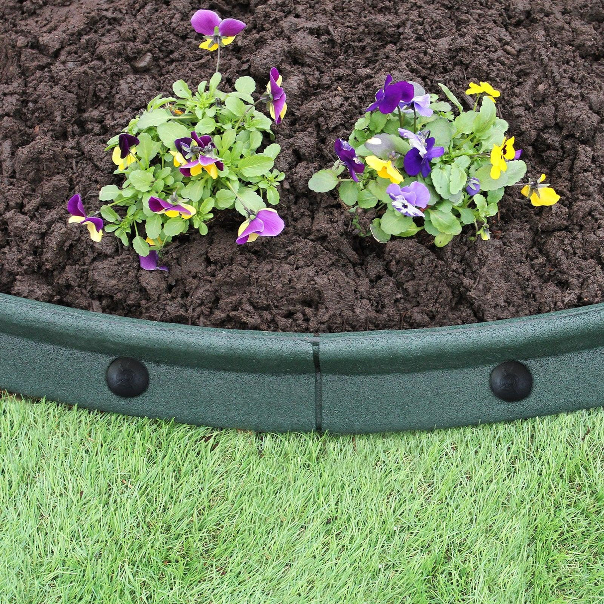 Flexible green lawn edging, 1.2m long, curving around vibrant purple and yellow flowers in rich brown soil, enhancing garden design