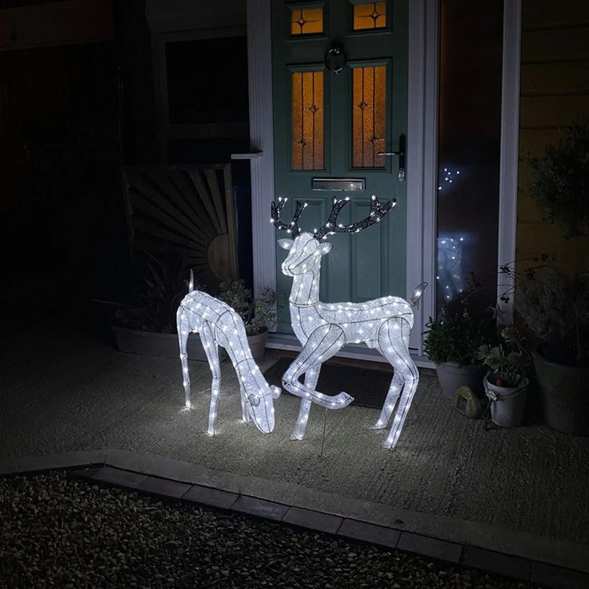 Large light up stag and doe reindeer set, illuminated with white LED lights, standing on a porch against a green door