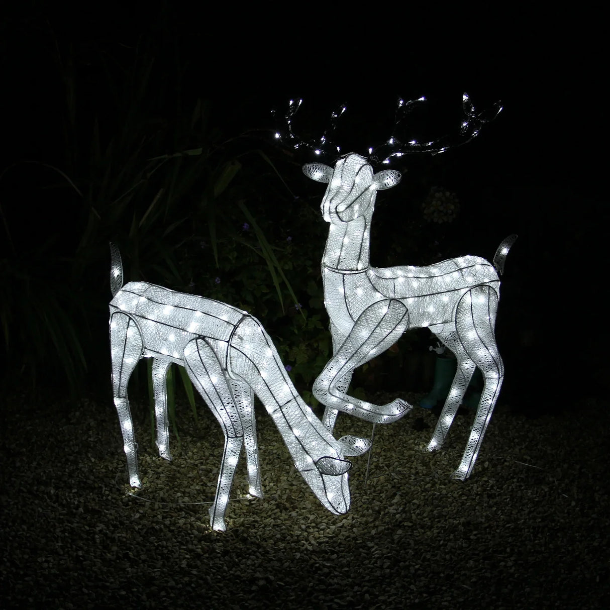 Large light-up stag and doe reindeer set with white wireframe design, illuminated with soft white lights, set against a dark background