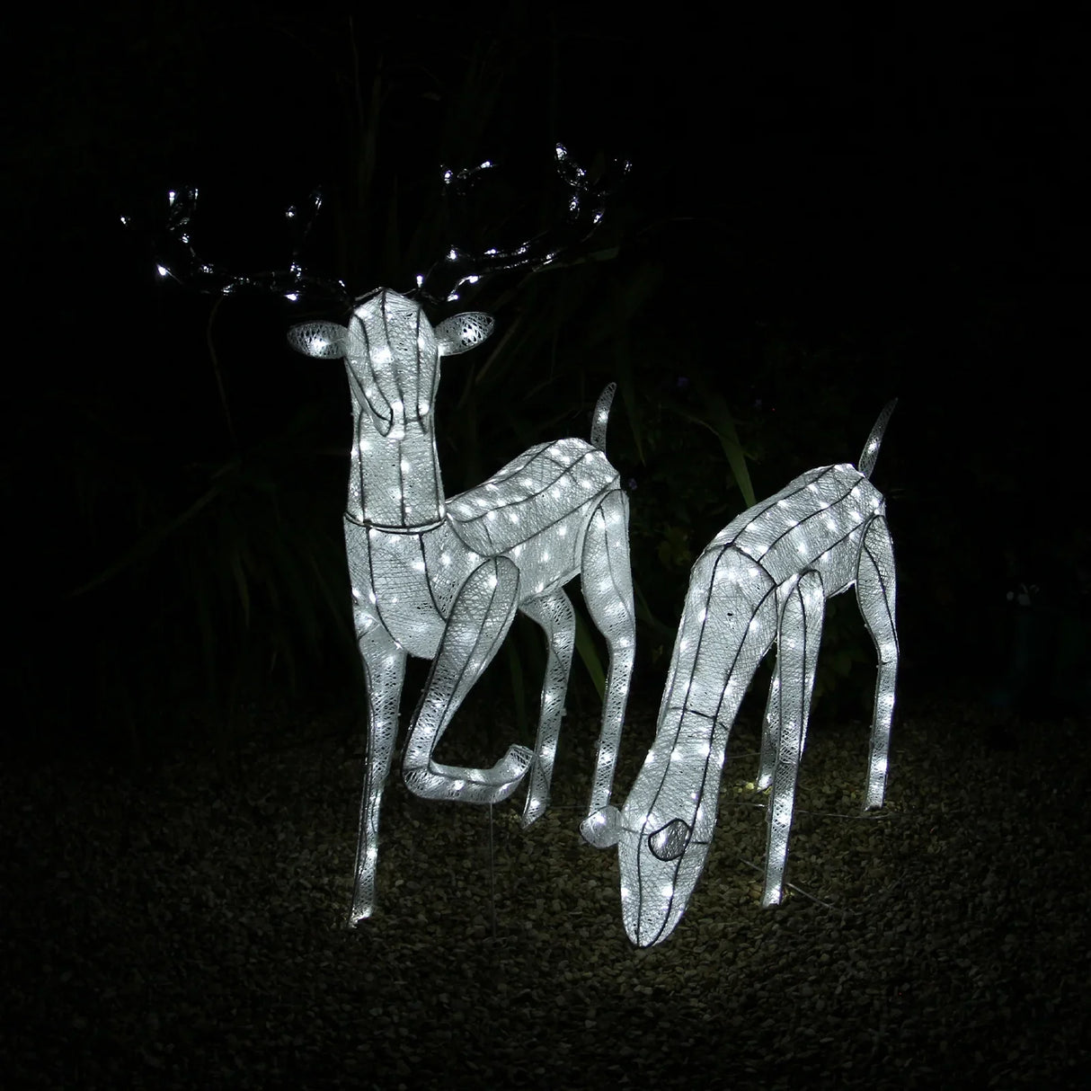 Large light-up stag and doe reindeer set with white wire frame, illuminated with bright LED lights, perfect for festive outdoor decor