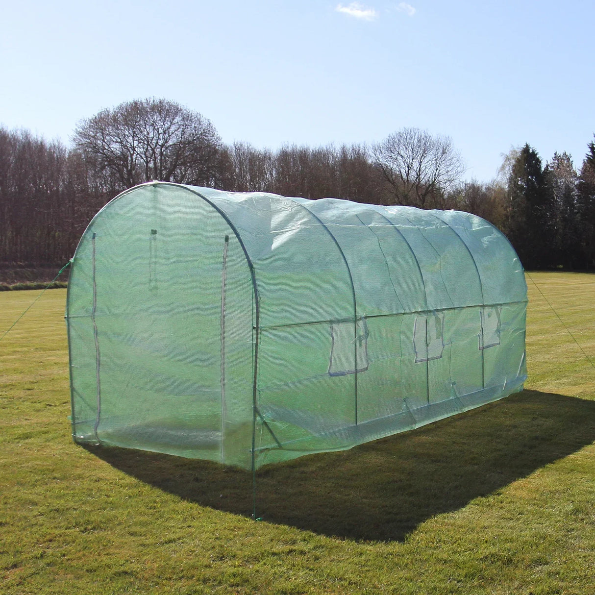 Transparent green polytunnel greenhouse, 5m x 2m, featuring a curved shape, mesh windows, and sturdy frame on a grassy field